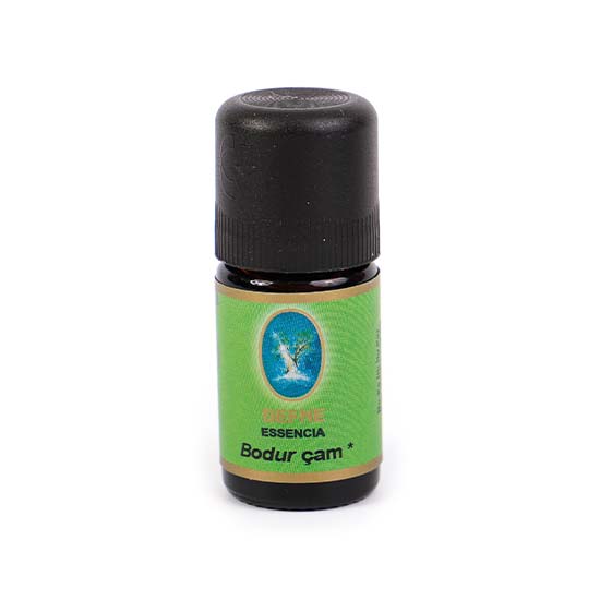 Bodur Çam Yağı - Organik 5 ml
